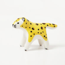 mini-leopard