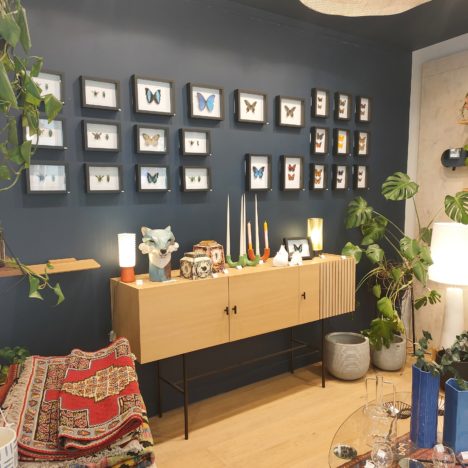 Exposition Papillons et Coléoptères chez Dodé à Nantes